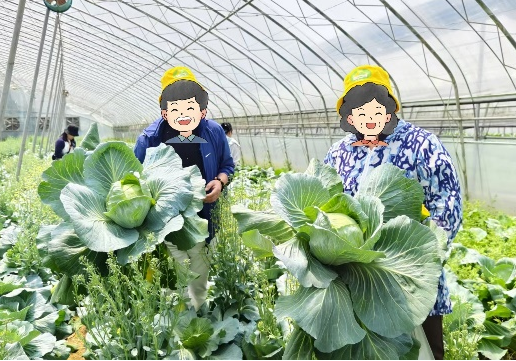 图片13.png