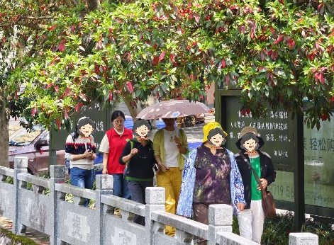 图片14.png