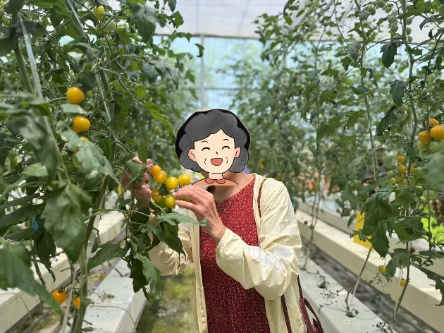 图片10.png